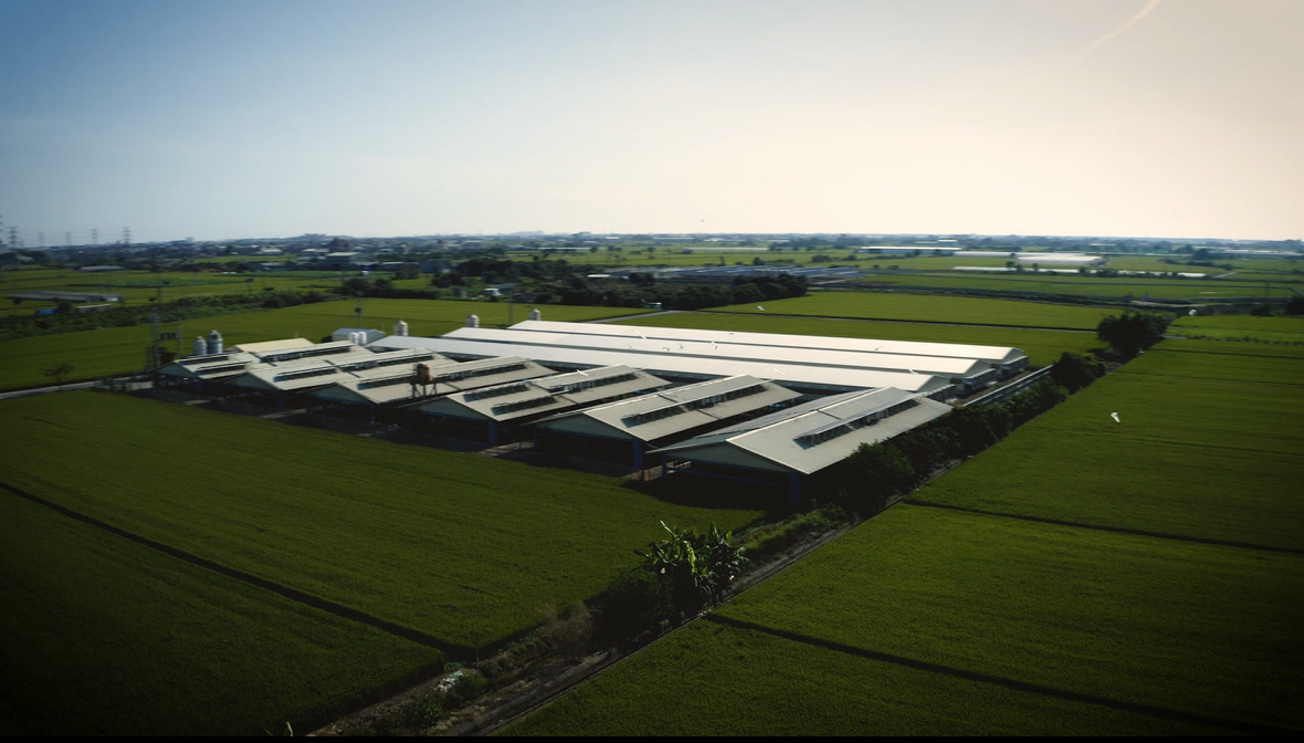 1111.jpg (173 kb)